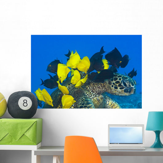Goldring Surgeonfish and Yellow Wall Decal
