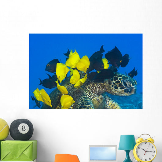 Goldring Surgeonfish and Yellow Wall Decal