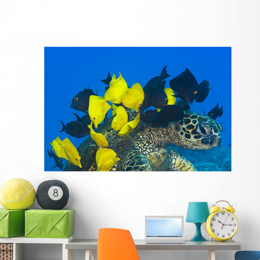 Goldring Surgeonfish and Yellow Wall Decal