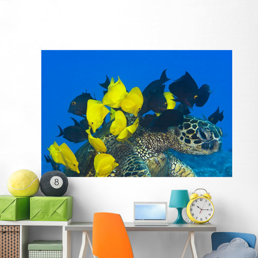 Goldring Surgeonfish and Yellow Wall Decal