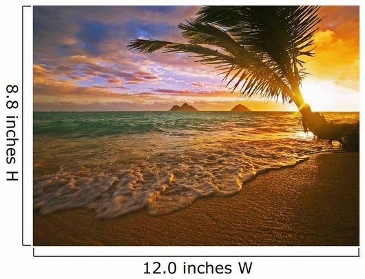 USA Hawaii Lanikai Beach Wall Decal