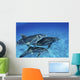 Atlantic Bottlenose Dolphin Swimming Wall Decal