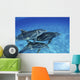 Atlantic Bottlenose Dolphin Swimming Wall Decal