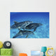Atlantic Bottlenose Dolphin Swimming Wall Decal