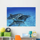 Atlantic Bottlenose Dolphin Swimming Wall Decal