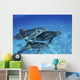 Atlantic Bottlenose Dolphin Swimming Wall Decal