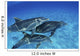 Atlantic Bottlenose Dolphin Swimming Wall Decal