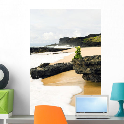 USA Hawaii Hawaiian Offering Wall Decal