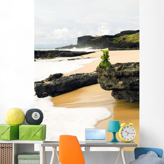 USA Hawaii Hawaiian Offering Wall Decal