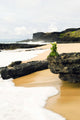USA Hawaii Hawaiian Offering Wall Decal