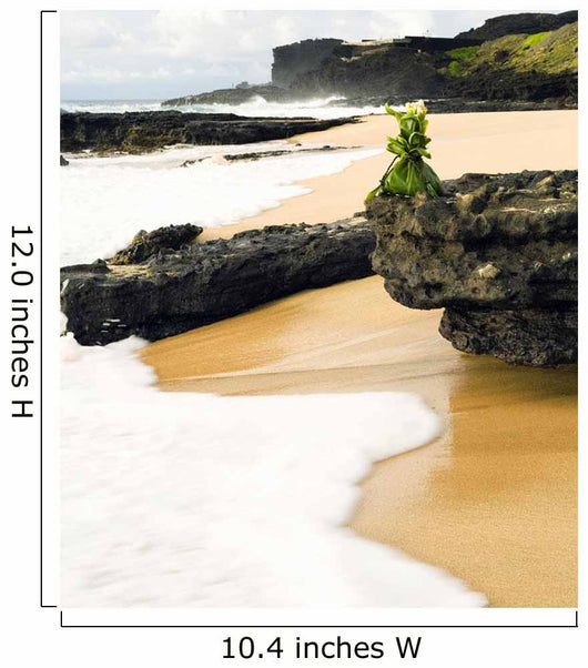 USA Hawaii Hawaiian Offering Wall Decal