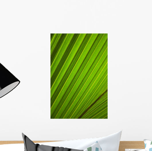 Graphic Detail Coconut Palm Wall Decal