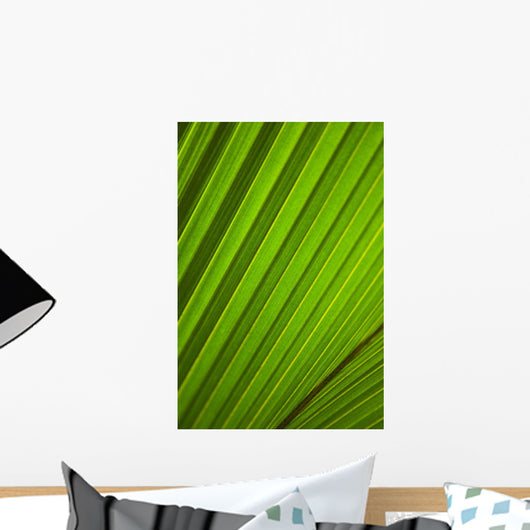 Graphic Detail Coconut Palm Wall Decal