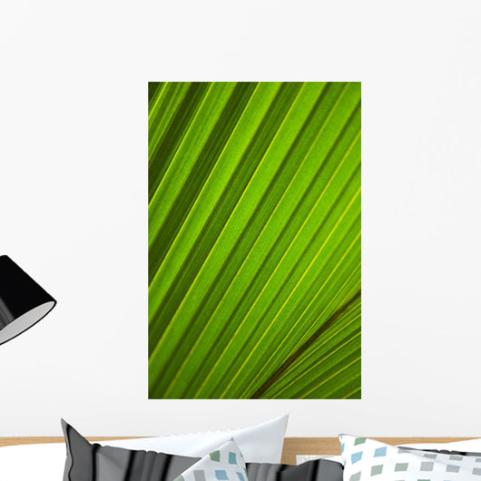 Graphic Detail Coconut Palm Wall Decal