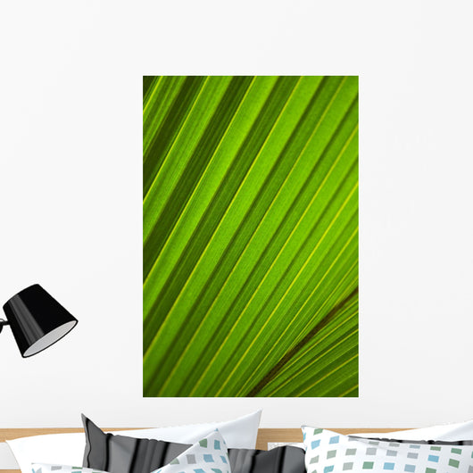 Graphic Detail Coconut Palm Wall Decal