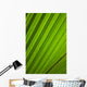 Graphic Detail Coconut Palm Wall Decal