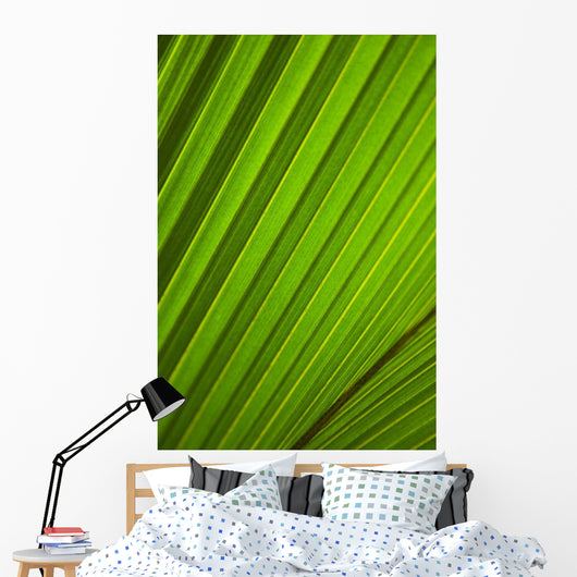 Graphic Detail Coconut Palm Wall Decal