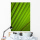 Graphic Detail Coconut Palm Wall Decal