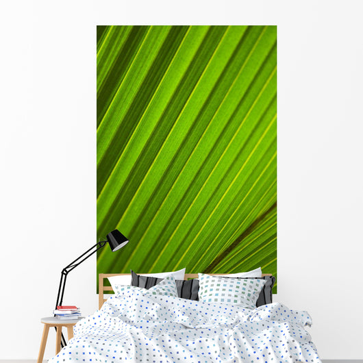 Graphic Detail Coconut Palm Wall Decal