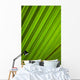 Graphic Detail Coconut Palm Wall Decal