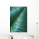 Water Drops Elephant Ear Wall Decal Design 2