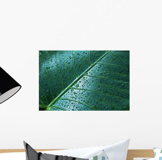 Water Drops Elephant Ear Wall Decal Design 1
