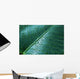 Water Drops Elephant Ear Wall Decal Design 1