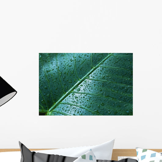 Water Drops Elephant Ear Wall Decal Design 1