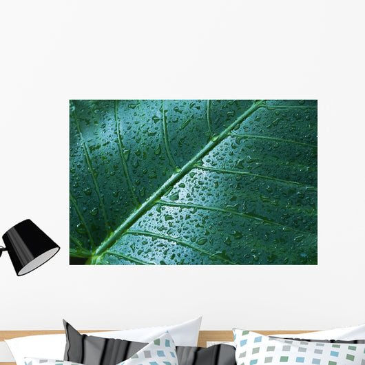 Water Drops Elephant Ear Wall Decal Design 1