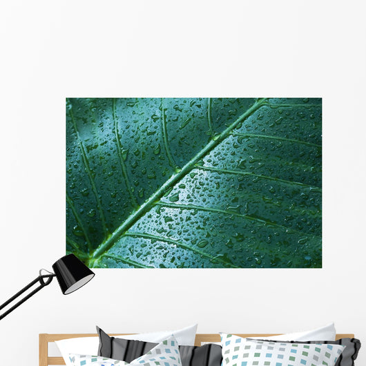 Water Drops Elephant Ear Wall Decal Design 1