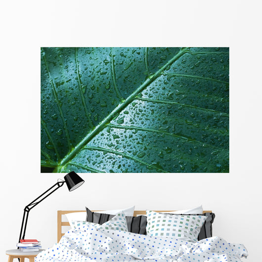 Water Drops Elephant Ear Wall Decal Design 1