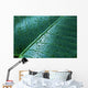 Water Drops Elephant Ear Wall Decal Design 1