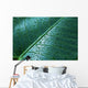 Water Drops Elephant Ear Wall Decal Design 1