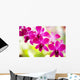 Hawaii Closeup Orchid Lei Wall Decal