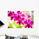 Hawaii Closeup Orchid Lei Wall Decal