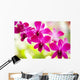 Hawaii Closeup Orchid Lei Wall Decal