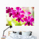 Hawaii Closeup Orchid Lei Wall Decal