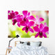 Hawaii Closeup Orchid Lei Wall Decal
