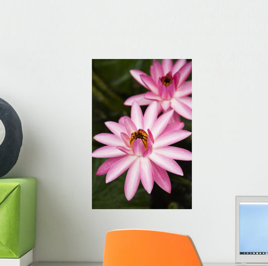 Hawaii Pink Lotus Blossom Wall Decal