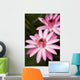 Hawaii Pink Lotus Blossom Wall Decal