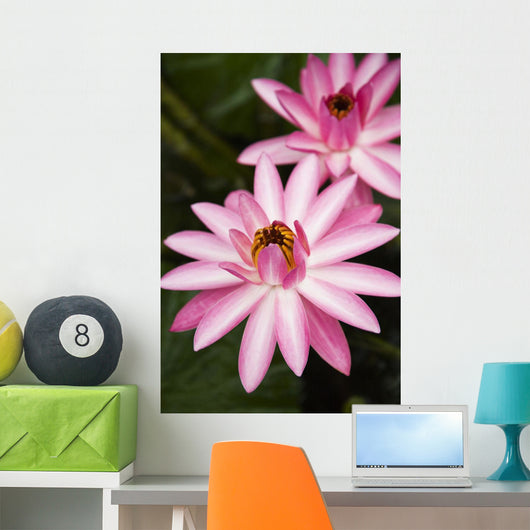 Hawaii Pink Lotus Blossom Wall Decal