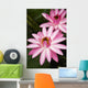 Hawaii Pink Lotus Blossom Wall Decal