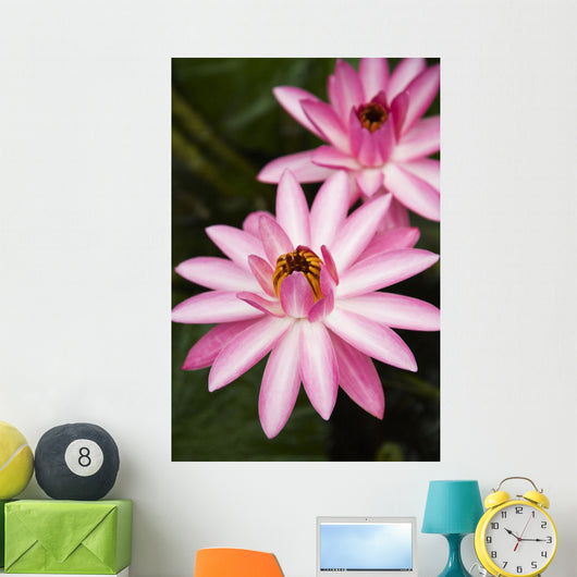 Hawaii Pink Lotus Blossom Wall Decal