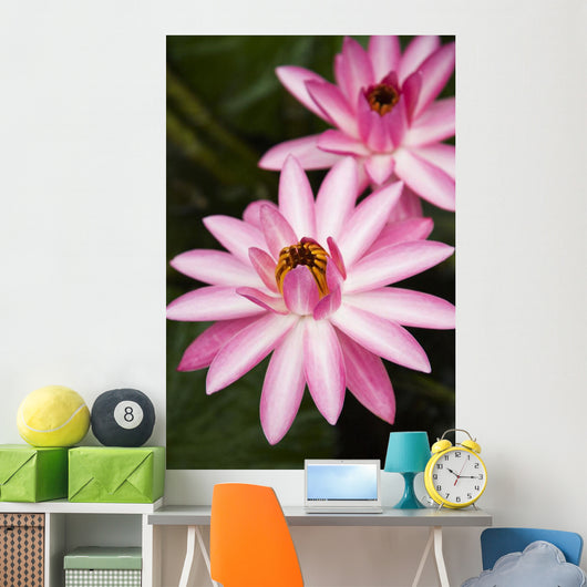 Hawaii Pink Lotus Blossom Wall Decal