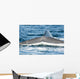 USA Tail Fluke Blue Wall Decal