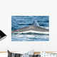 USA Tail Fluke Blue Wall Decal