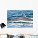 USA Tail Fluke Blue Wall Decal