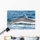 USA Tail Fluke Blue Wall Decal