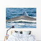USA Tail Fluke Blue Wall Decal