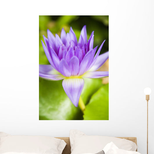 Hawaii Purple Lotus Blossom Wall Decal Design 2